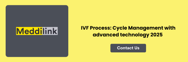 IVF Process