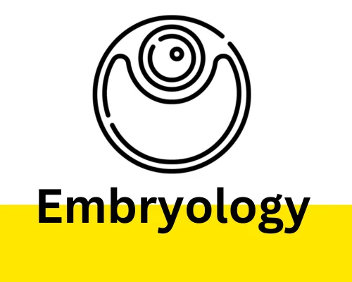 Embryology