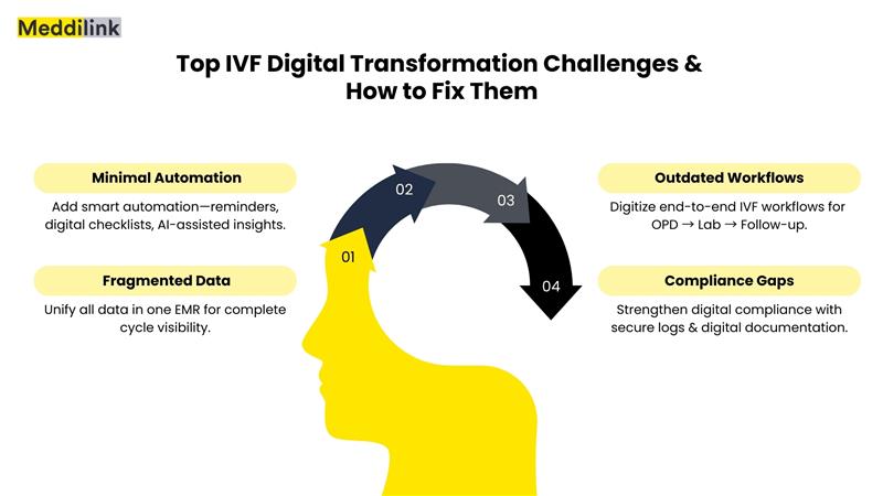 IVF Digital Transformation Challenges